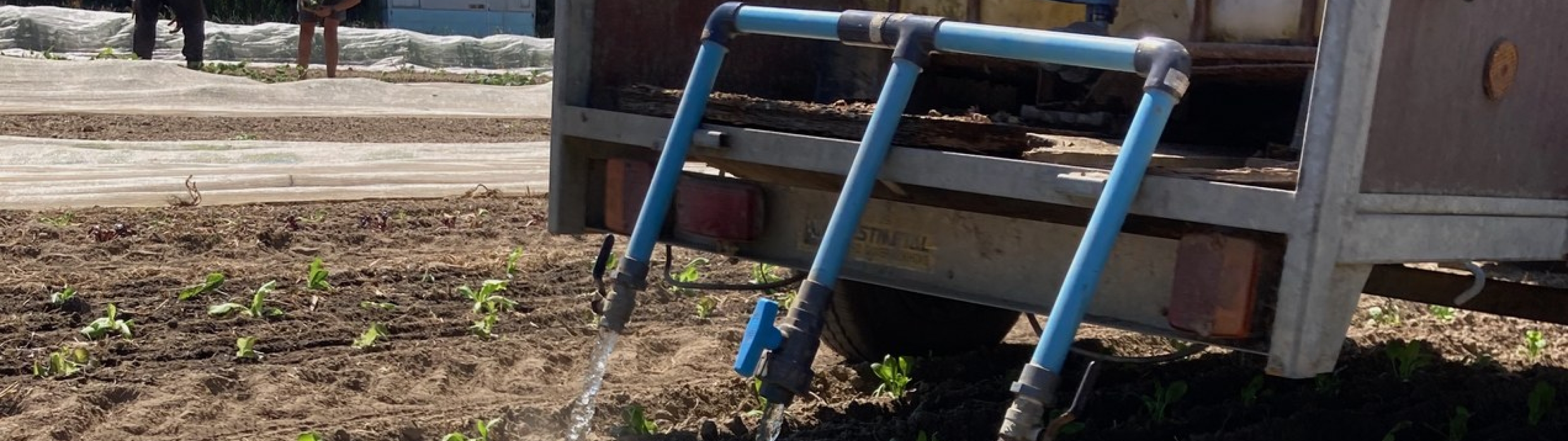 Planten en bewateren met de watertank op het veld