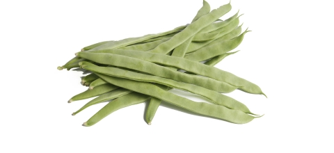 Snijboon