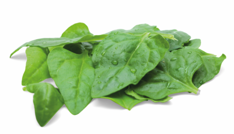 Nieuw-Zeelandse Spinazie