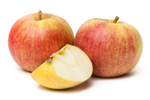 Appel Cox