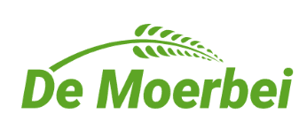 Logo van De Moerbei in Veurne