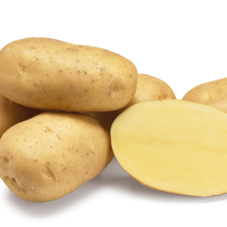 Aardappel Agria